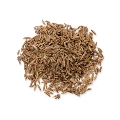CARAWAY SEEDS YASMINE BAG 100 G (3.5 oz)