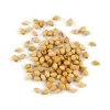 CORIANDER WHOLE YASMINE BAG 80 G (2.8 oz)