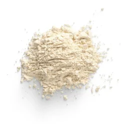 ONION POWDER BULK