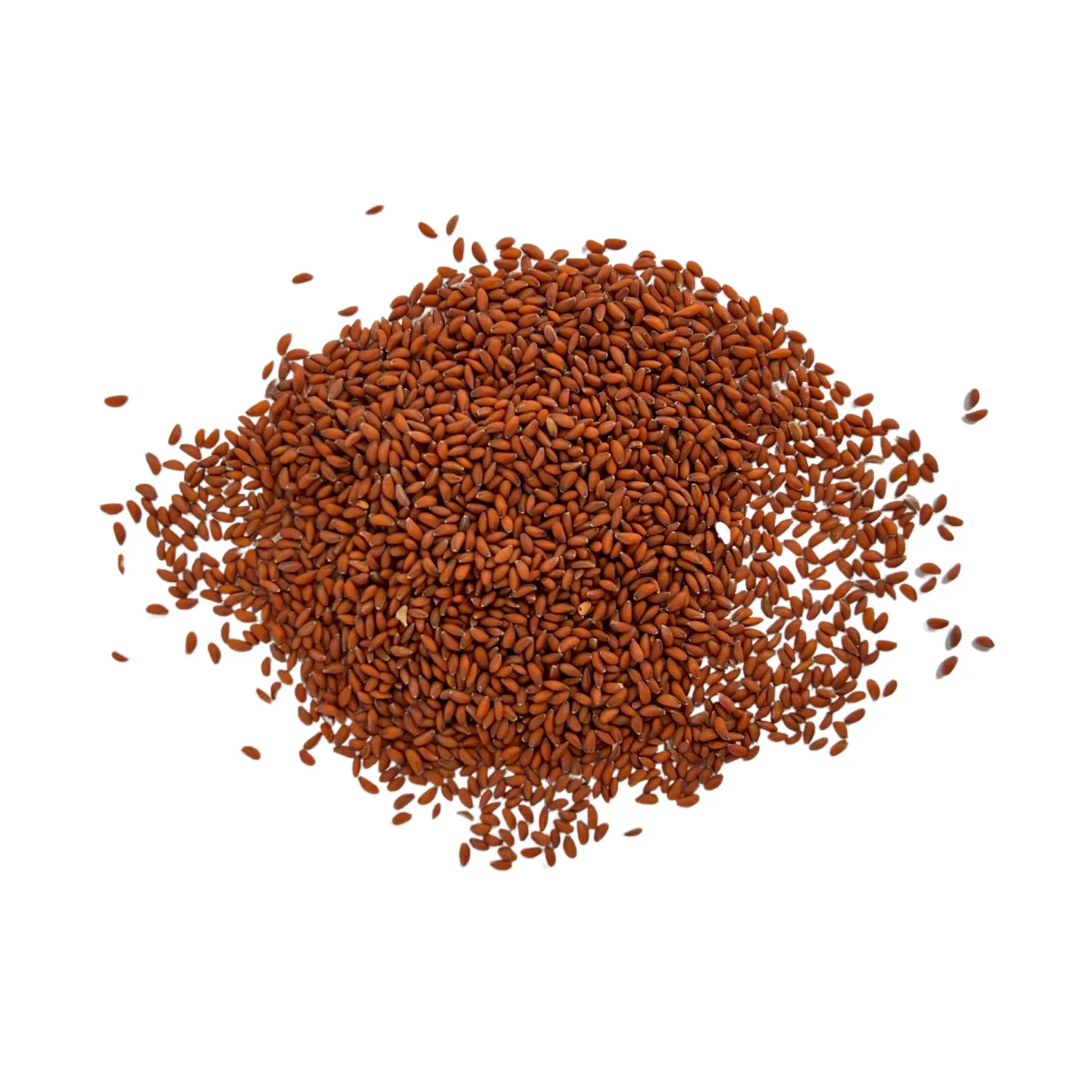 RASHAD SEEDS NUTRIVILLA BAG 80 G (2.8 oz)