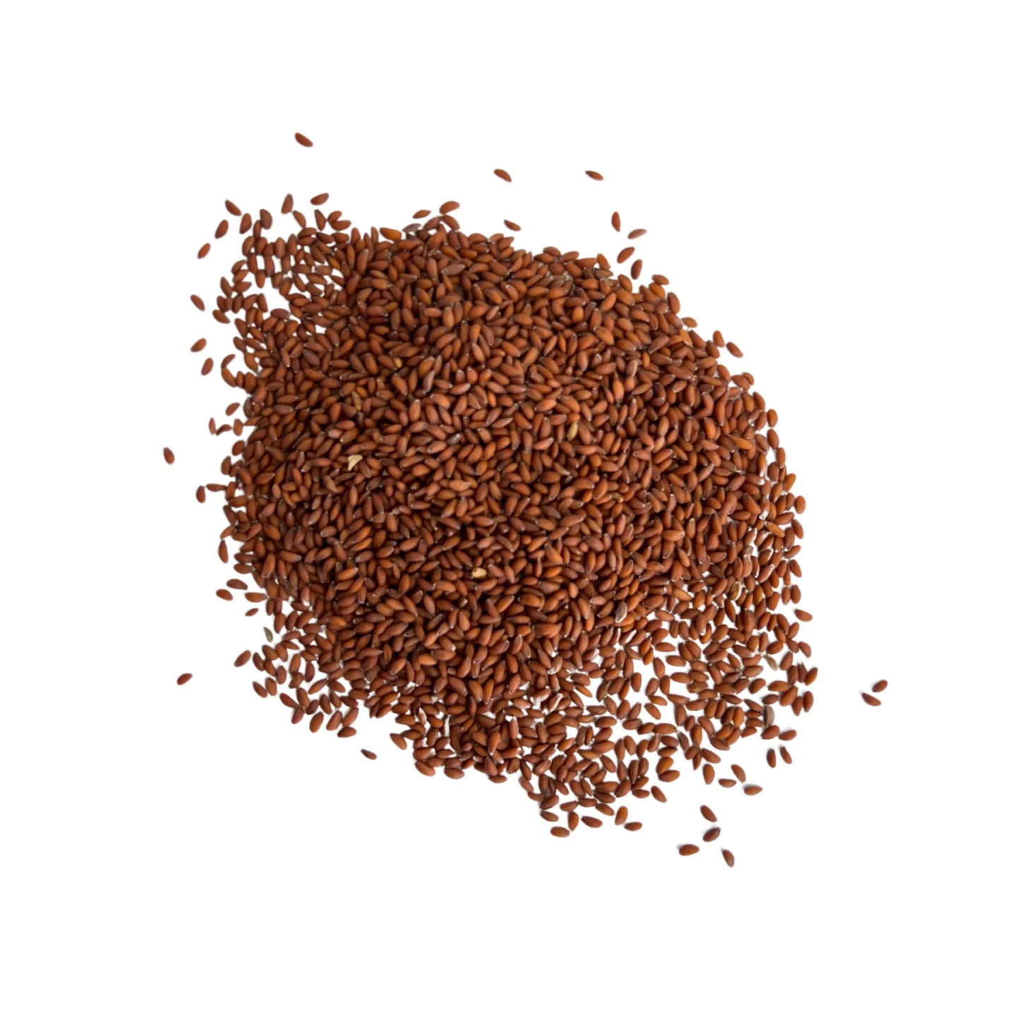 RASHAD SEEDS NUTRIVILLA BAG 80 G (2.8 oz)